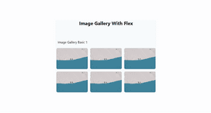 Image Gallery Flex - Tailwind Component