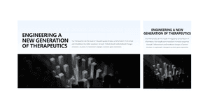 Beautiful Hero Section Using Tailwind UI
