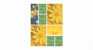 Image Gallery with Grid - Tailwind Component